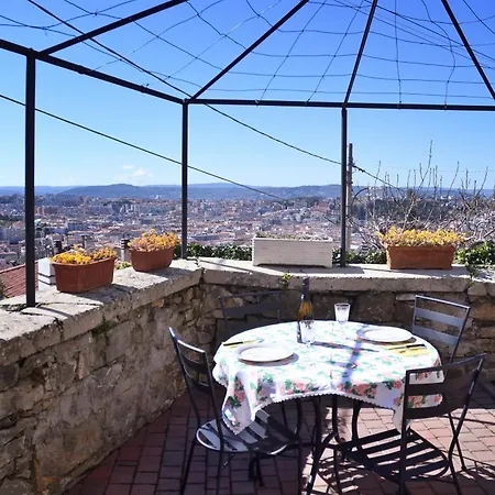 Shamrock - * Trieste