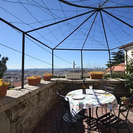 Shamrock - Apartament