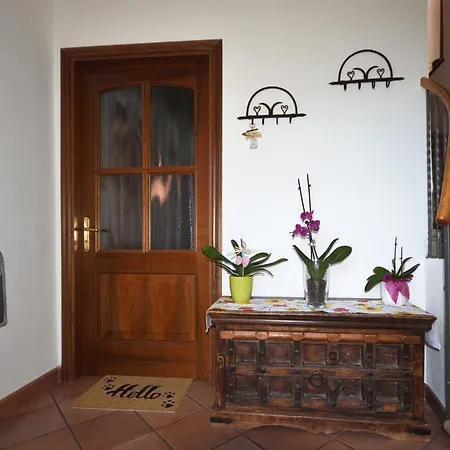 Apartament Shamrock -
