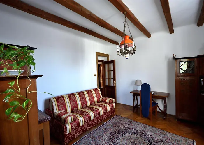 Apartament Shamrock - *